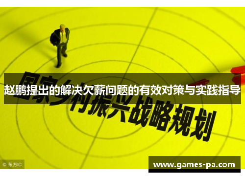 赵鹏提出的解决欠薪问题的有效对策与实践指导