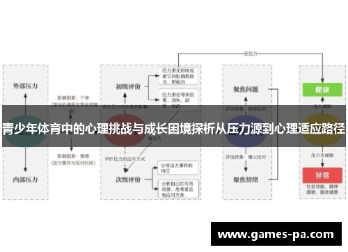 青少年体育中的心理挑战与成长困境探析从压力源到心理适应路径 青少年体育中的心理挑战与成长困境探析从压力源到心理适应路径