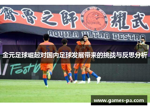 金元足球崛起对国内足球发展带来的挑战与反思分析
